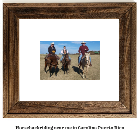 horseback riding near me in Carolina, Puerto Rico